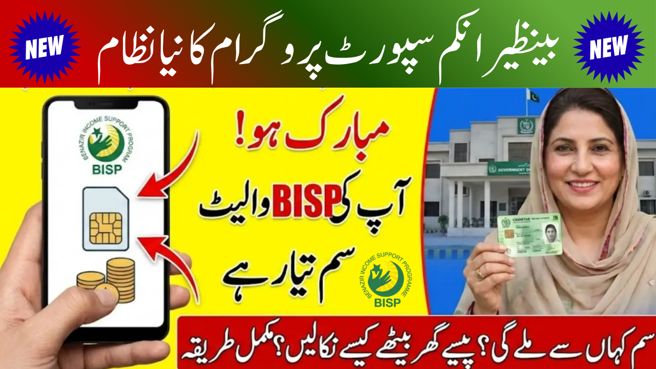 BISP 8171 CNIC Verification Status Explained