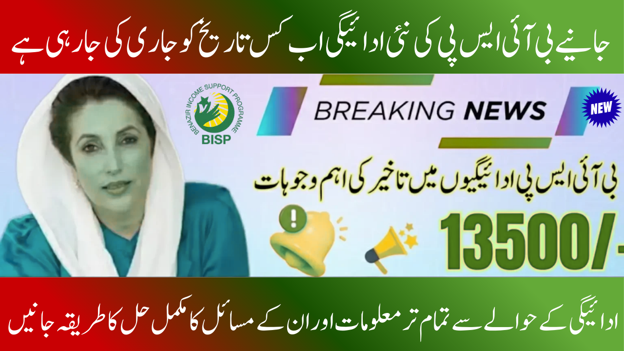 Use These Techniques Instead of BISP 8171 CNIC Check Portal Down 2026